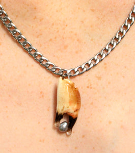 London jewelry, Kathleen, Shop Kathleen, Los Angeles, Kathleen, Boutique, Handmade Necklace, Seashell Necklace, Independent artist, independent designer, independent boutique, independent jewelry, beach jewelry, pearls, freshwater pearls, freshwater pearl choker, curb chain, crab claw, epoxy, resin, seashell jewelry, pearl choker, Tlysau