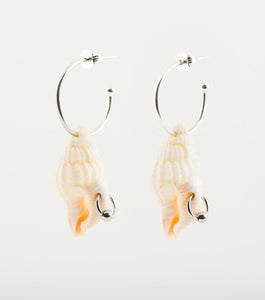 soft blonde, earrings, stainless steel, shell, seashell, sea, ocean, pierced, piercing, hoop, hoops, dimple