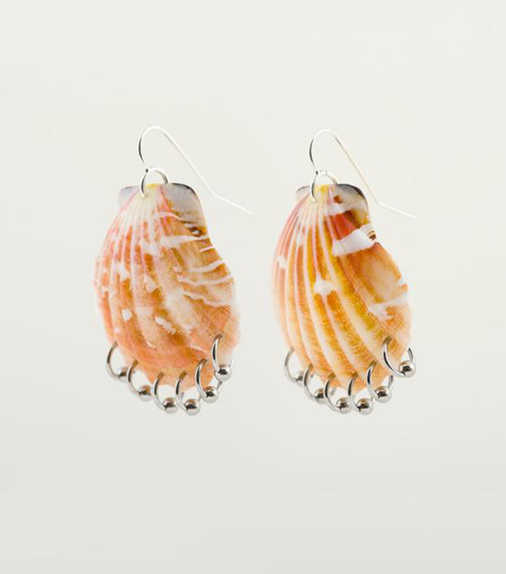 jewelry, shell earrings, earrings, soft blonde, stainless steel earrings, shells, pierced, hoops, natural, handmande, one of a kind, los angeles, kathleen, shop kathleen